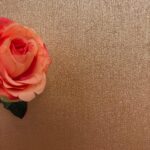Gouden Streep 150x150